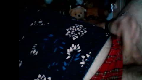 Snapshot of pbemid chatting on January 6, 8:57 am Papabear online show from January 6, 8:57 am