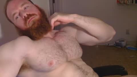 Pec inspector online show from January 30, 3:55 am