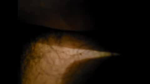 Snapshot of pedritu7 chatting on January 24, 12:31 am Alex online show from January 24, 12:31 am