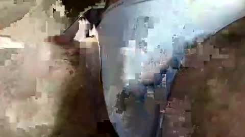 perfectFTM online show from April 3, 6:33 am