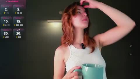 Snapshot of perfectvisitor chatting on June 29, 11:27 pm Sophia online show from June 29, 11:27 pm