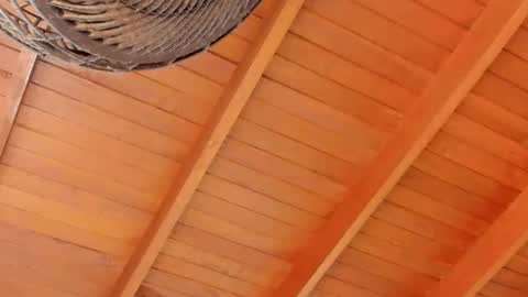 peter jackson1 online show from December 4, 11:57 pm