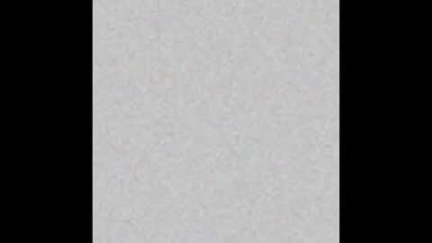 Maximus online show from February 16, 6:10 pm