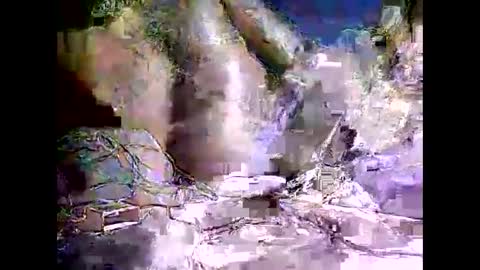 Snapshot of peterson1978 chatting on November 8, 8:07 pm peterson1978 online show from November 8, 8:07 pm