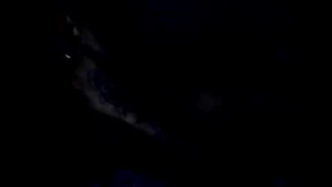 peterson1978 online show from May 20, 12:06 am