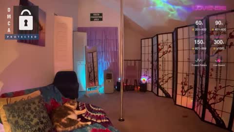 Snapshot of petitejewel chatting on December 27, 9:17 am Jules online show from December 27, 9:17 am