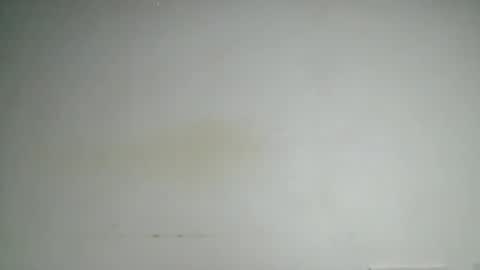 petitgirl88 online show from June 24, 5:39 am