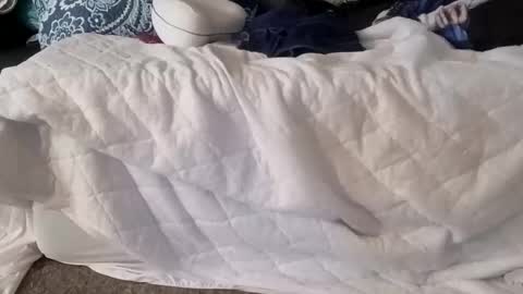 phillipdee online show from January 7, 5:04 pm