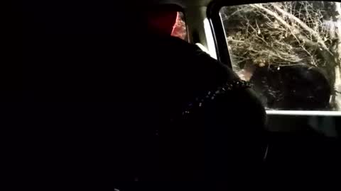 phillipdee online show from February 1, 10:03 am