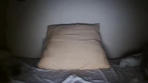 pieslatinos online show from January 31, 4:14 am