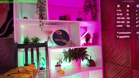 Snapshot of pika_pikaa chatting on December 6, 1:29 am Sonya online show from December 6, 1:29 am