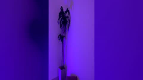 Snapshot of pink_quarz chatting on June 16, 10:45 pm KELLY online show from June 16, 10:45 pm
