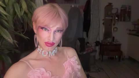 pinkfag online show from February 19, 3:08 pm
