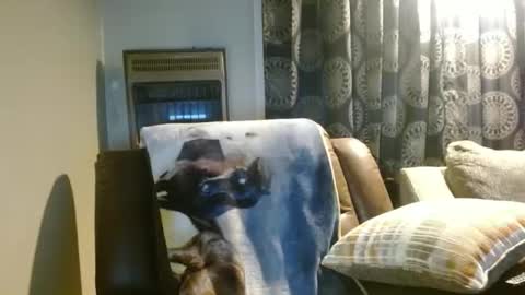 Snapshot of pirate334 chatting on January 7, 11:29 pm pirate334 online show from January 7, 11:29 pm