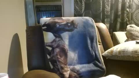 Snapshot of pirate334 chatting on January 18, 4:38 am pirate334 online show from January 18, 4:38 am