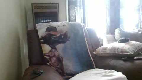 Snapshot of pirate334 chatting on February 3, 8:47 pm pirate334 online show from February 3, 8:47 pm