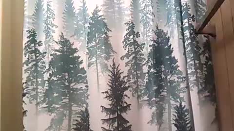 SEX ADDICTION WANNA MEET online show from December 12, 2:37 am