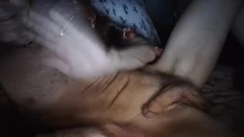 playdaddy756210 online show from March 12, 2:50 am