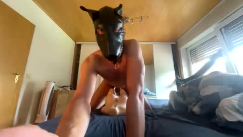 Snapshot of playdog123 chatting on September 21, 11:56 am playdog123 online show from September 21, 11:56 am