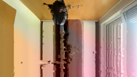 Snapshot of playdog123 chatting on October 12, 1:21 pm playdog123 online show from October 12, 1:21 pm