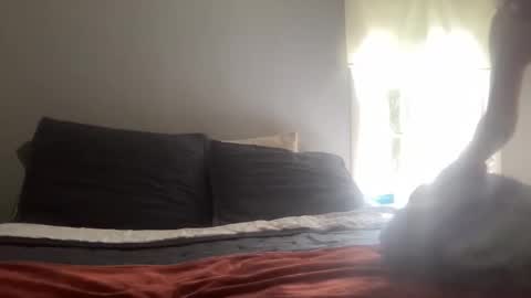 playfulpork online show from April 17, 9:18 pm