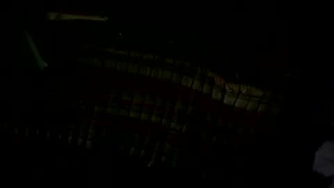 pleaseownme2 online show from September 13, 1:11 pm