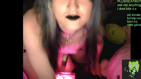 plushcatboy online show from April 7, 4:24 am