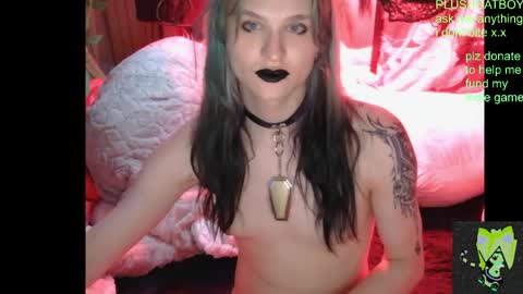 plushcatboy online show from April 21, 4:08 am