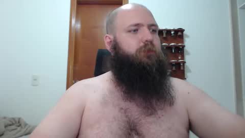 Bear online show from February 16, 2:09 am