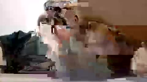 poli online show from February 27, 7:14 pm