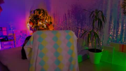 Snapshot of poli__ chatting on February 9, 3:49 pm Martha online show from February 9, 3:49 pm