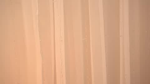    online show from January 14, 10:10 am