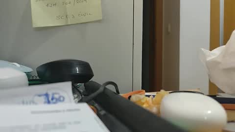 ppillo online show from November 17, 10:48 pm