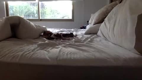 ppsmall_17 online show from March 27, 11:10 am