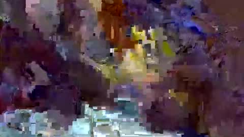 precious_nesh online show from May 13, 11:07 am