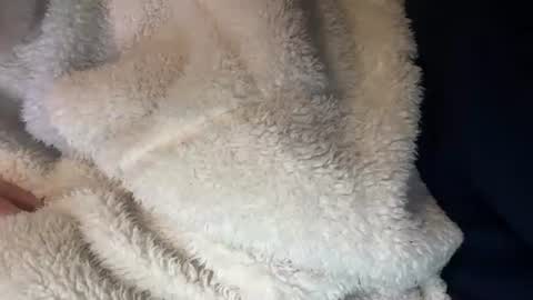 Prelako online show from October 26, 12:00 pm