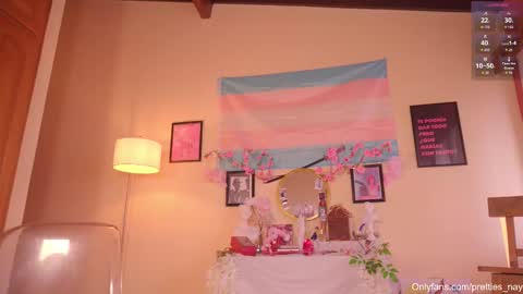 Snapshot of pretties_nay chatting on February 15, 4:47 pm Nayrobi online show from February 15, 4:47 pm