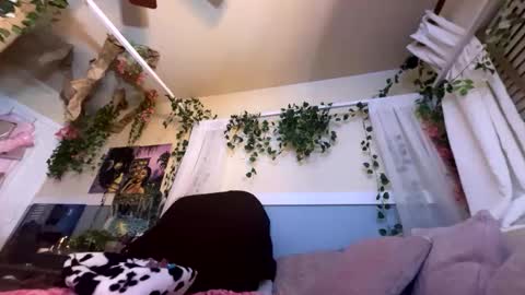 Snapshot of prettyblackgal chatting on November 27, 7:43 am prettyblackgal online show from November 27, 7:43 am