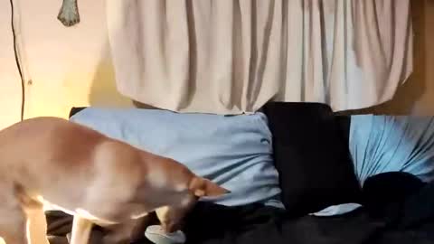 Prettyslangin69 FYPM online show from February 26, 7:53 am