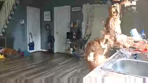 Pink Pussy69 online show from April 15, 2:02 pm