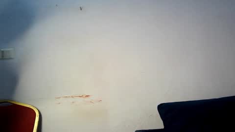 Snapshot of prettylove5 chatting on March 1, 6:04 am evelyn online show from March 1, 6:04 am