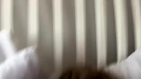 Prettiestpussy online show from September 27, 8:36 pm