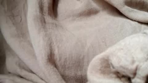 prettyrose01 online show from July 14, 10:48 pm