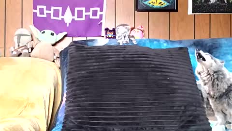 prettysolidd7 online show from January 5, 2:52 pm