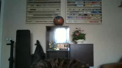 Don online show from February 25, 10:03 am