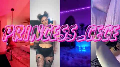 Snapshot of princess_cece chatting on February 27, 9:04 pm Cece NEXT LIVESTREAM -- DEC. 4th 7 PM CST online show from February 27, 9:04 pm