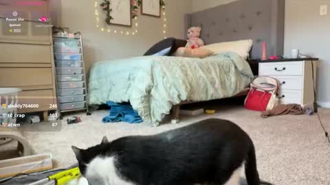 Sable online show from March 30, 4:19 pm