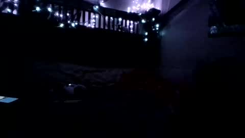 Holly love online show from November 15, 8:22 am