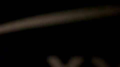 privat2025 online show from March 30, 8:10 pm