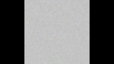 professorhushh online show from November 9, 5:00 pm